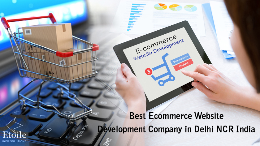 Best Ecommerce Website Development Company in Delhi NCR India